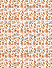 Shell 002 Transfer (Orangey)